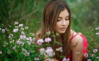 Red dress woman flower field - a field of flowers and grass free wallpaper