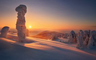 Sunset snowy mountain trees volumetric - volumetric light free wallpaper
