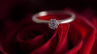 Diamond ring red rose petals - free hearts wallpaper