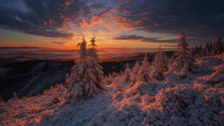 Sunset snowy mountain trees clouds 7 - a sun setting free wallpaper