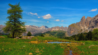 Mountain range pond trees sky - panoramic view free wallpaper for desktop
