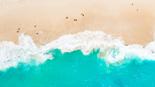 Beach wave people ocean silhouette - the sand free wallpaper for desktop