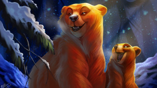 Bears snow aurora fireworks night - two bear free wallpaper