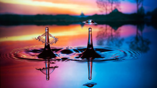 Water drop sunset reflection tree - a water drop free wallpaper