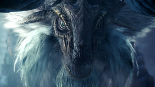 Dragon largehead largewings longtail blackbeak - a large head free wallpaper for desktop