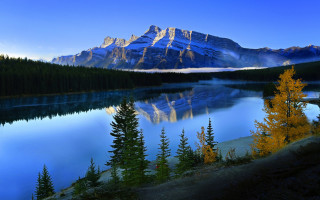 Mountain lake reflection pine forest 2 - pine tree free wallpaper