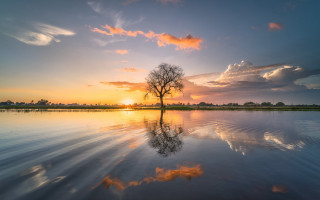 Tree lake sunset reflection clouds - sunrise time free wallpaper for desktop