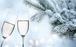 Champagne flutes christmas branch snow - behance hd free wallpaper