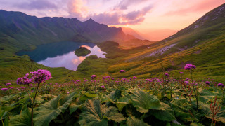 Mountain lake flower sunset pink - a pink sky in the background free wallpaper for desktop