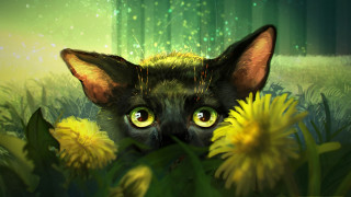 Green eyed cat in grass - anna dittmann free wallpaper