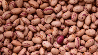 Beans red spots brown top - red spot free wallpaper for desktop