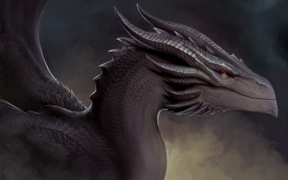 Black dragon orange eyes dark - a black dragon free wallpaper