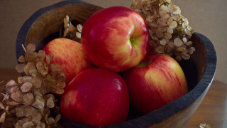 Bowl apples nuts leafy branch - fall vibrancy free wallpaper for desktop