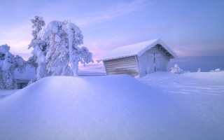 Snowy hill cabin trees pink - free winter wallpaper