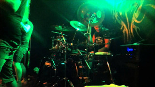 Band performance green lights guitarist - eric peterson free wallpaper