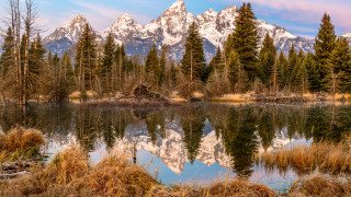 Mountain reflection pine trees autumn - a still lake free wallpaper