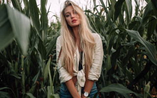 Woman cornfield serious blonde nature - anna katharina block free wallpaper for desktop