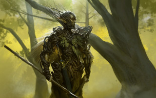 Man sword bird forest armor - a sword and a bird free wallpaper for desktop