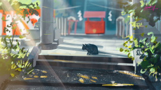 Black cat sidewalk tree building - plein air free wallpaper for desktop