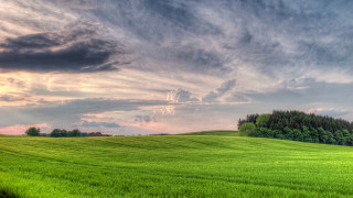 Green field trees clouds sunset 2 - dawn free wallpaper