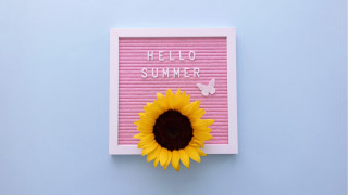 Sunflower pinkframe hellosummer butterfly vibrant - free summer wallpaper