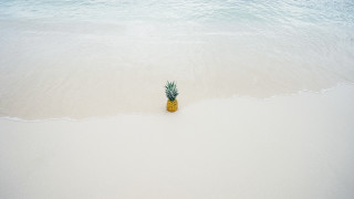 Pineapple beach ocean waves sky - a pineapple free wallpaper for desktop
