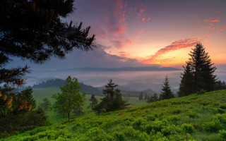 Sunset mountains lake forest trees - tree and a sunset in the background free wallpaper