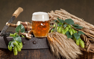 Beer barrel knife hops stilllife - the younger free wallpaper for desktop