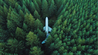 Plane over forest with trees - a plane free wallpaper for desktop