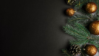 Pine branch gold ornaments pine - pine free wallpaper