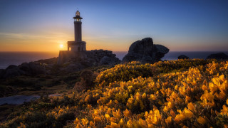 Lighthouse rocky cliff sunset flowers - a rocky cliff free wallpaper