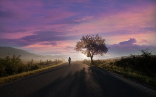 Lone person road sunset purple - a purple sky free wallpaper for desktop