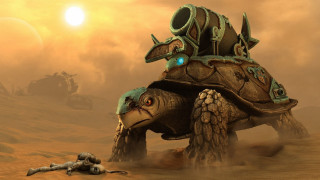 Turtle helmet ship desert fullmoon - a turtle free wallpaper