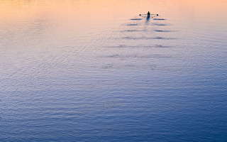 Lake sunset rowing boat tranquil - the water and a person free wallpaper