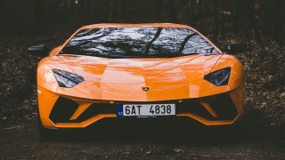 Yellow lamb car forest license - a license plate free wallpaper for desktop