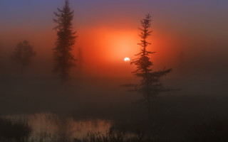 Foggy sunset trees lake matte - arkhip kuindzhi free wallpaper for desktop
