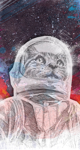 Space cat spacesuit astronaut planet - free cats wallpaper for mobile
