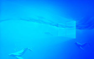 Blue room window curtain fish - a blue room free wallpaper for desktop