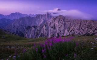 Mountain range purple sky flower - a purple sky free wallpaper for desktop