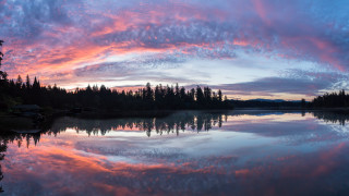 Lake reflection sunset trees cityscape - water and trees free wallpaper
