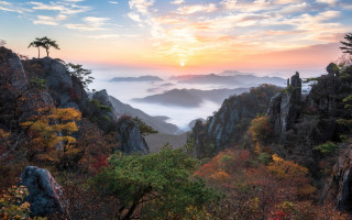 Mountain sunset fog trees rocks - choi buk free wallpaper for desktop