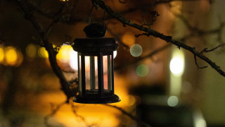 Lantern hanging tree night bokeh - free light wallpaper for desktop