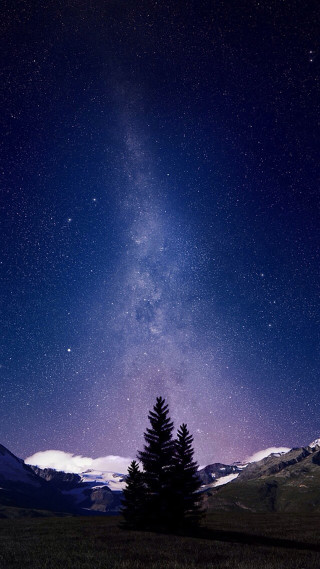 Tree field stars sky clouds - galaxy free wallpaper for mobile