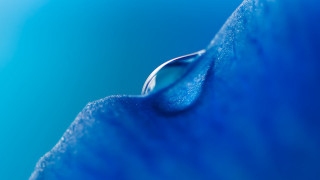 Blue water drop macro sky - a drop of water free wallpaper