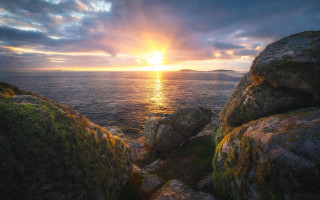 Sunset ocean rocks grass island - rock and grass free wallpaper