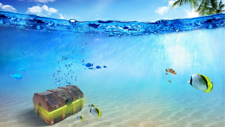 Underwater suitcase fish palm tree - a palm tree in the background free wallpaper