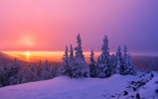 Sunset snowy mountain trees orange - sunrise free wallpaper