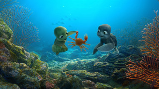 Coral reef fish seaweed underwater - a couple of animals free wallpaper