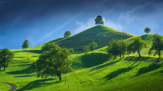 Green hill trees winding road - a green hill free wallpaper