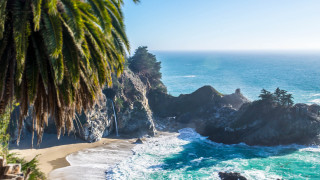 Beach palm cliff ocean nature - nature free wallpaper